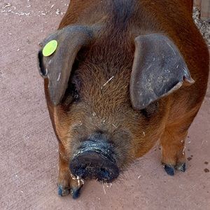 Meet your Posher, Jena